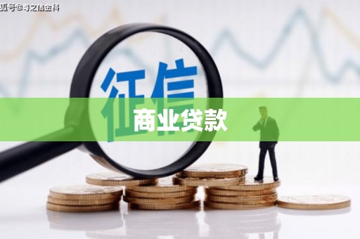 定安商业贷款