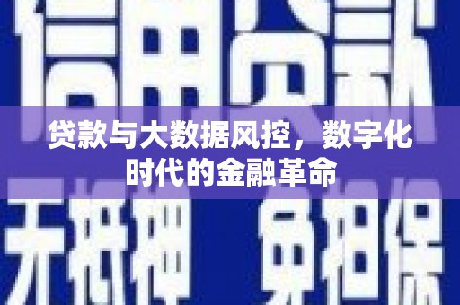 正阳贷款与大数据风控，数字化时代的金融革命