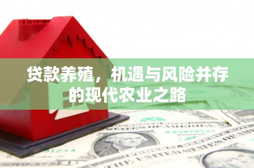 金湾贷款养殖，机遇与风险并存的现代农业之路