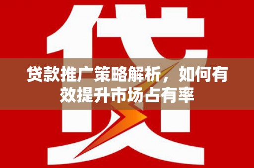 南票贷款推广策略解析，如何有效提升市场占有率