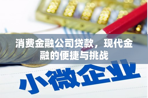 昭苏消费金融公司贷款，现代金融的便捷与挑战