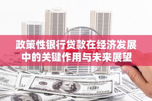 耒阳政策性银行贷款在经济发展中的关键作用与未来展望