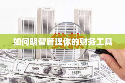 盘龙如何明智管理你的财务工具
