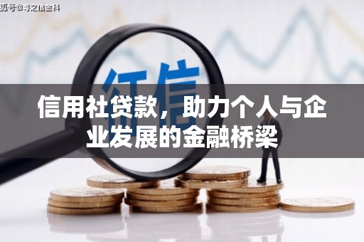 树林信用社贷款，助力个人与企业发展的金融桥梁