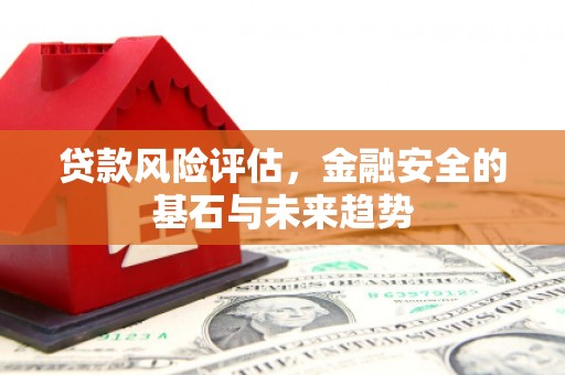 南充贷款风险评估，金融安全的基石与未来趋势