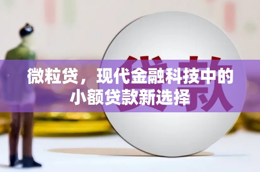 泰顺微粒贷，现代金融科技中的小额贷款新选择