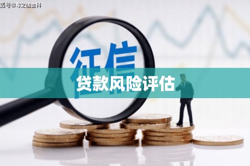 西林贷款风险评估