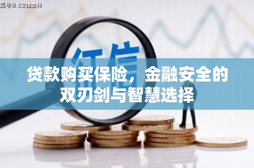 行唐贷款购买保险，金融安全的双刃剑与智慧选择