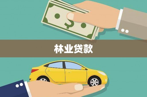 盐湖林业贷款