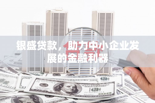 张家港银盛贷款，助力中小企业发展的金融利器