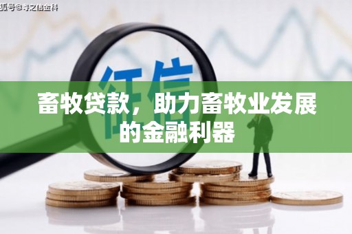 新民畜牧贷款，助力畜牧业发展的金融利器