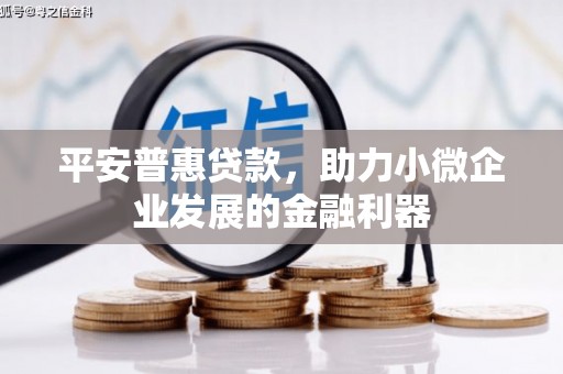 偃师平安普惠贷款，助力小微企业发展的金融利器