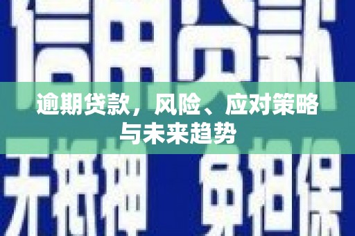 岑巩逾期贷款，风险、应对策略与未来趋势