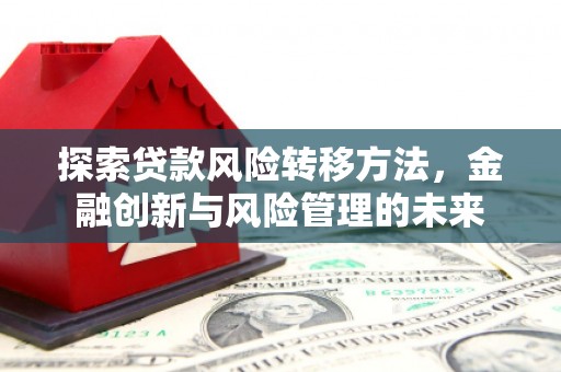 庆元探索贷款风险转移方法，金融创新与风险管理的未来