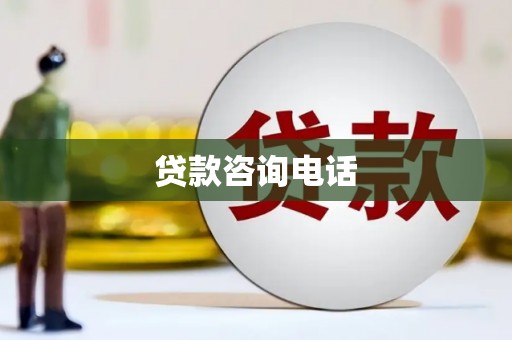 林甸贷款咨询电话