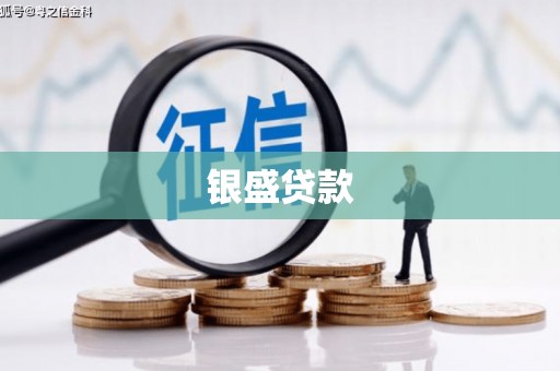 平镇银盛贷款