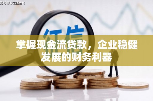 雷州掌握现金流贷款，企业稳健发展的财务利器