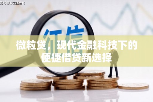 盐田微粒贷，现代金融科技下的便捷借贷新选择