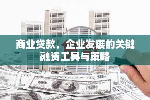 德钦商业贷款，企业发展的关键融资工具与策略