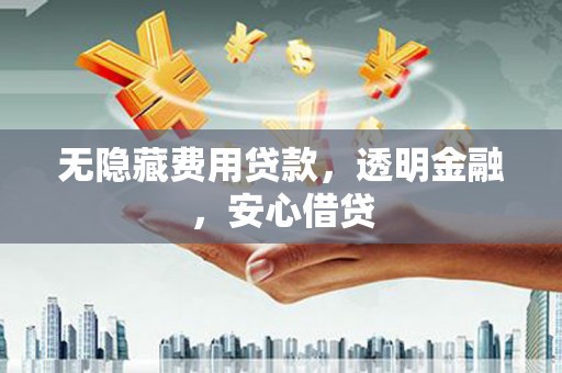 文成无隐藏费用贷款，透明金融，安心借贷
