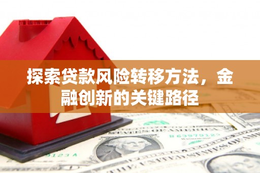 晋州探索贷款风险转移方法，金融创新的关键路径