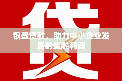 红安银盛贷款，助力中小企业发展的金融利器