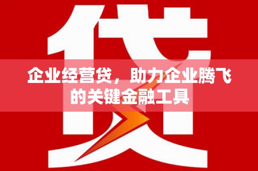姚安企业经营贷，助力企业腾飞的关键金融工具