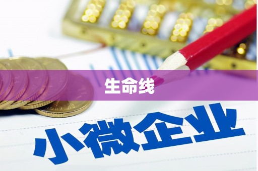 吴桥生命线