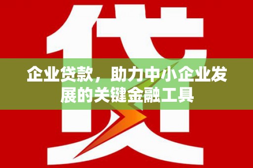 海安企业贷款，助力中小企业发展的关键金融工具