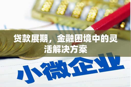 平南贷款展期，金融困境中的灵活解决方案