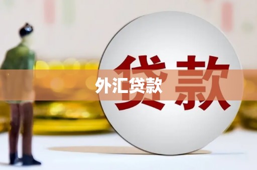 港北外汇贷款