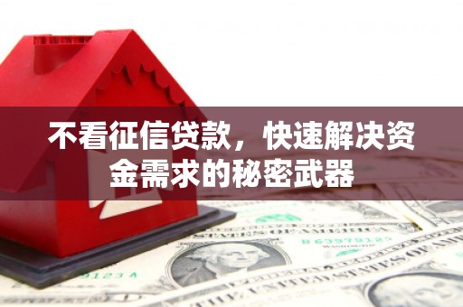鹤庆不看征信贷款，快速解决资金需求的秘密武器