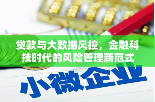 盐田贷款与大数据风控，金融科技时代的风险管理新范式