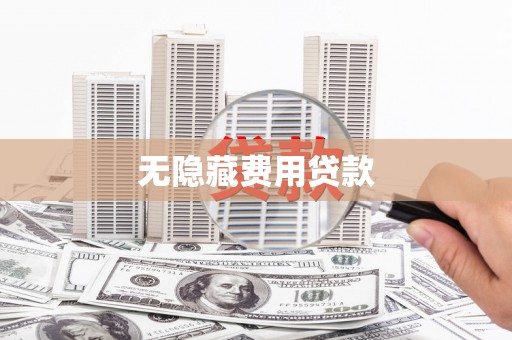 项城无隐藏费用贷款