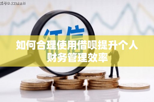 洪湖如何合理使用借呗提升个人财务管理效率