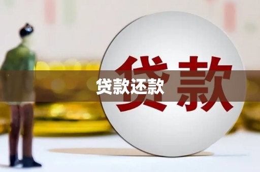 长垣贷款还款