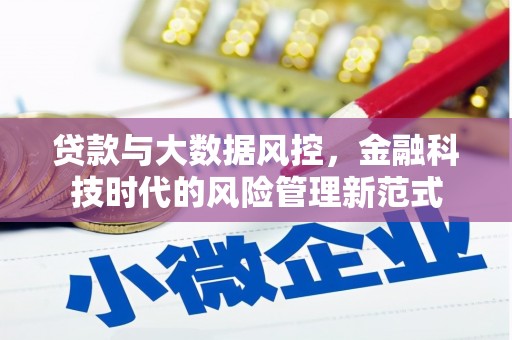 学甲贷款与大数据风控，金融科技时代的风险管理新范式