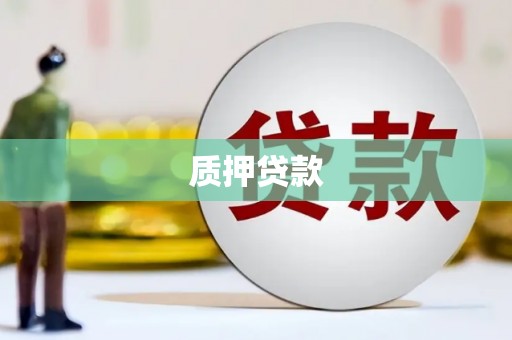 临海质押贷款