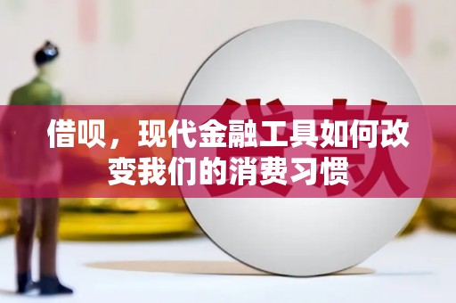 新园借呗，现代金融工具如何改变我们的消费习惯