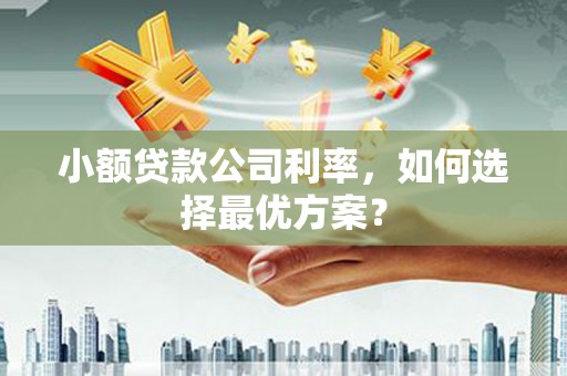 洪雅小额贷款公司利率，如何选择最优方案？