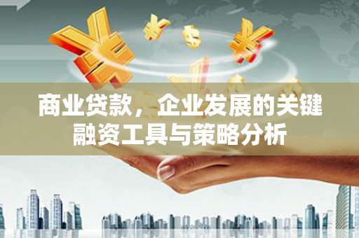 高树商业贷款，企业发展的关键融资工具与策略分析