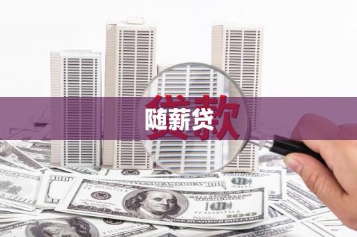 兴宁随薪贷