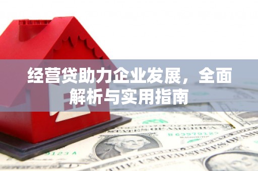 龙沙经营贷助力企业发展，全面解析与实用指南