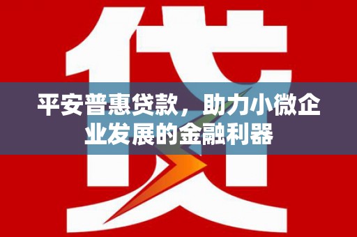 麻豆平安普惠贷款，助力小微企业发展的金融利器