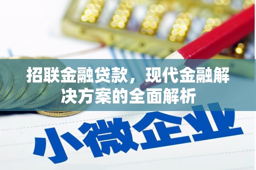 学甲招联金融贷款，现代金融解决方案的全面解析