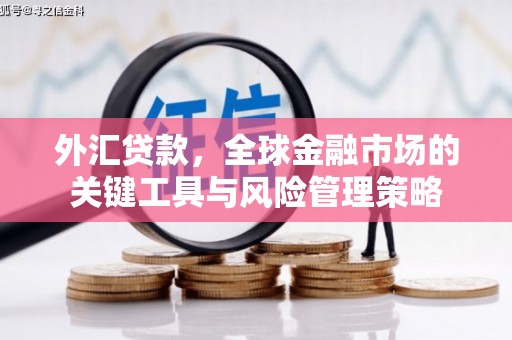 江山外汇贷款，全球金融市场的关键工具与风险管理策略