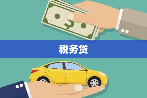 海伦税务贷