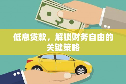阳山低息贷款，解锁财务自由的关键策略