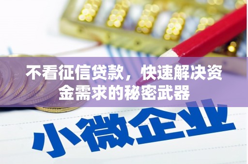 肥西不看征信贷款，快速解决资金需求的秘密武器