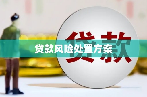 施甸贷款风险处置方案